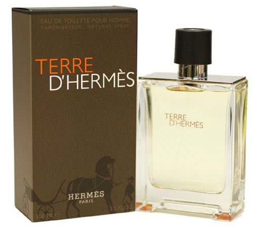 Hermes Terre D’Hermes Masculino Eau De Toilette - 100ml