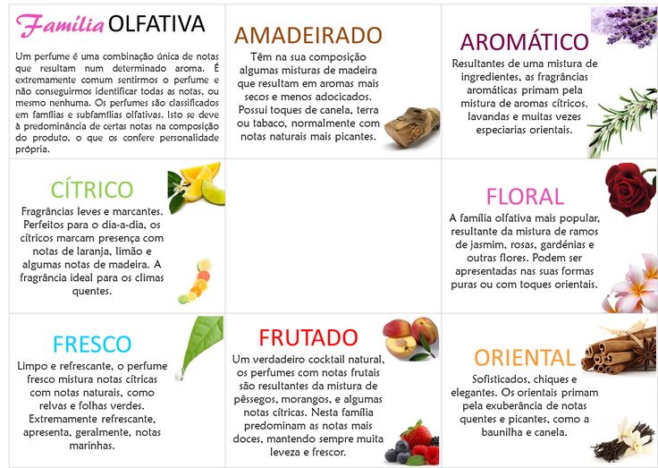 tipos de familia olfativa